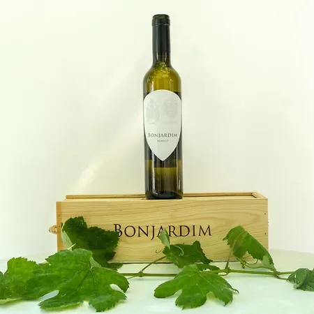 Farm stay Do Bonjardim